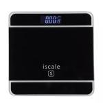 Body Weighing Accurate Health Scale